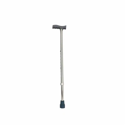 Shock-absorbing Walking Stick